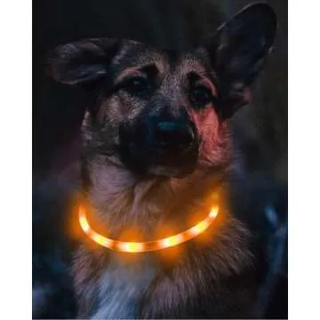 Joytale Light Up Dog Collar, Rechargeable Rainproof LED Collar for Night Walking Safety, Soft Silicone Glow in The Dark, Suitable for Small Medium Large Dogs, Orange