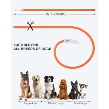 Joytale Light Up Dog Collar, Rechargeable Rainproof LED Collar for Night Walking Safety, Soft Silicone Glow in The Dark, Suitable for Small Medium Large Dogs, Orange