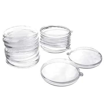Homeford Fillable Plastic Clear Oval Ornament, 2-3/4-Inch, 12-Count
