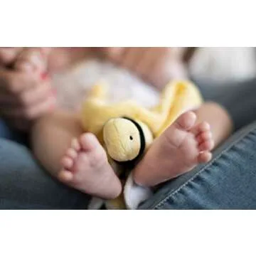 Burt's Bees Baby Baby Plush Toy Lovey, Hold Me Bee Stuffed Security Blanket, Infants Comfort Object, Made with Organic Velour Shell with Polyester, Sunshine Color, Size 12x12x3 Inches