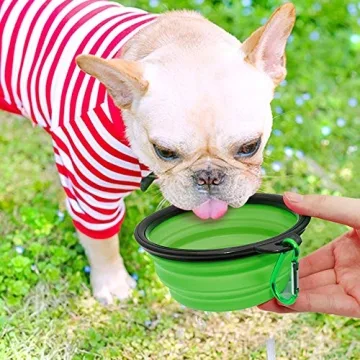 Collapsible Pet Bowls, Portable Travel Feeding Dishes for Dogs