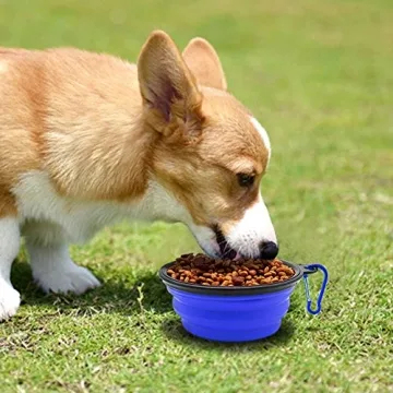 Collapsible Pet Bowls, Portable Travel Feeding Dishes for Dogs