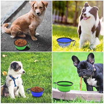Collapsible Pet Bowls, Portable Travel Feeding Dishes for Dogs