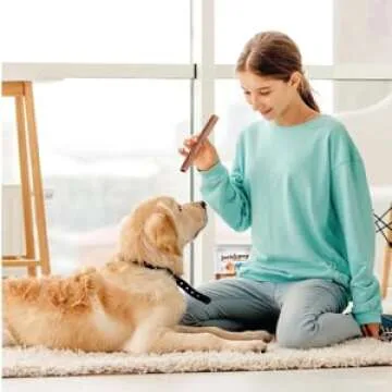 Jack&Pup 6" Beef Collagen Sticks for Healthy Chewing