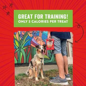 Stella & Chewy's Crav'n Bac'n Dog Treats 8.25 oz Bag