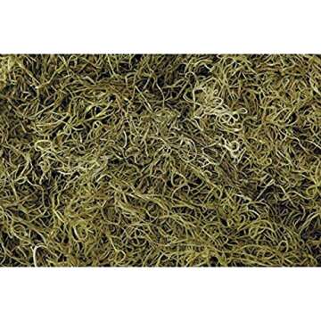 Shinoda 1 lb Light Green Spanish Moss for Decor and Crafts