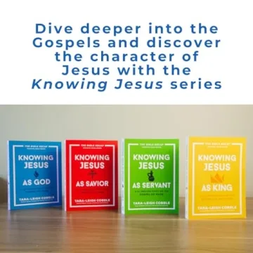 Engaging Bible Study Guide on the Gospel of Luke