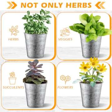 Wenqik 2 Sets Herb Garden Planter Pot Set with Tray Metal Windowsill Plant Pot with Drainage Farmhouse Decorative Live Herb Garden Kit for Home Kitchen Indoor Outdoor Apartment Balcony Window(Silver)