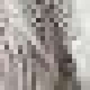 SheIn Women's Crochet Cover Up - Stylish Swimwear Essential