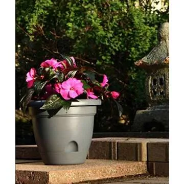 Bloem Living LP0860 Lucca Self-Watering Planter, 8-Inch, Peppercorn