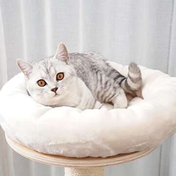 AGILE 51" Modern Plywood Cat Tree Condo Tower with Scratching Post (Ollie 2-Tier)