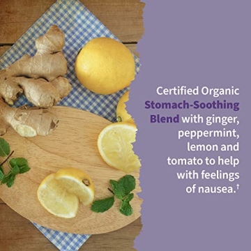 Garden of Life Women’s Prenatal Multivitamin Organic Energy