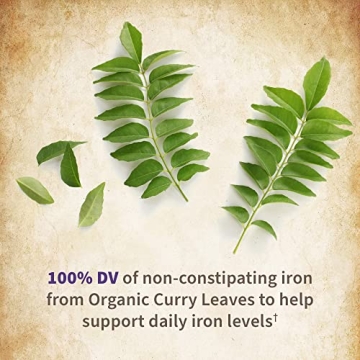 Garden of Life Women’s Prenatal Multivitamin Organic Energy