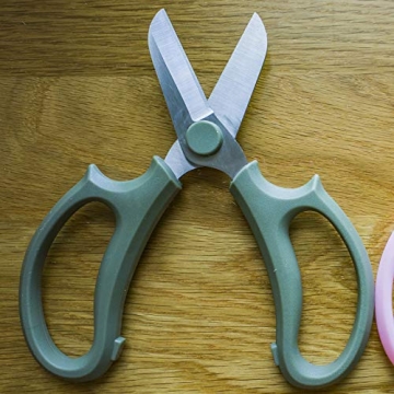 Leize Flower Scissors, Premium Floral Shears for Pruning