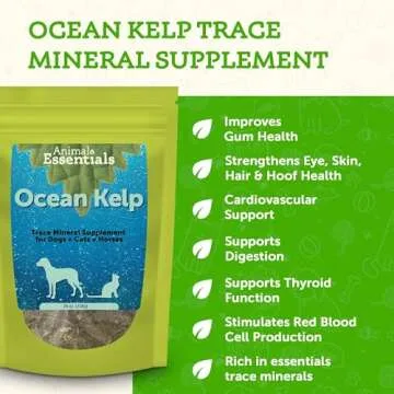 Animal Essentials Ocean Kelp for Dogs & Cats - Thyroid Support, Thyroid Supplement, Sea Kelp, Kelp P...