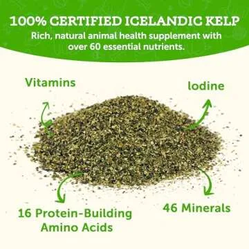 Animal Essentials Ocean Kelp for Dogs & Cats - Thyroid Support, Thyroid Supplement, Sea Kelp, Kelp Powder, Trace Mineral Supplement - 24 Oz