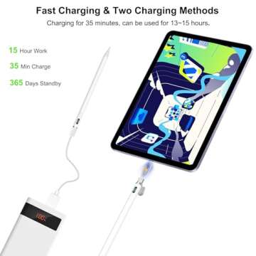 Stylus Pen for iPad - Palm Rejection & USB-C Charging