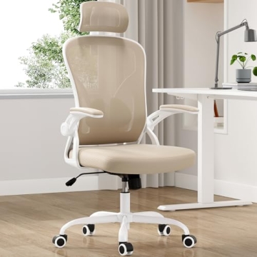 Farini Ergonomic Office Chair with Headrest for Comfort