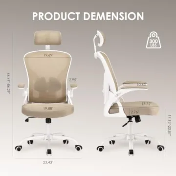 Farini Ergonomic Office Chair with Headrest for Comfort