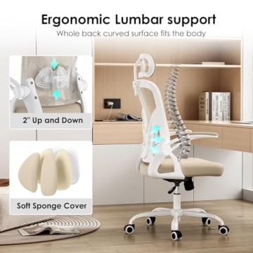 Farini Ergonomic Office Chair with Headrest for Comfort