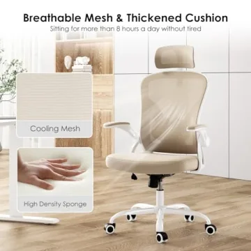 Farini Ergonomic Office Chair with Headrest for Comfort