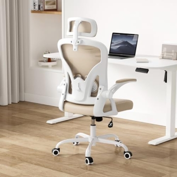 Farini Ergonomic Office Chair with Headrest for Comfort