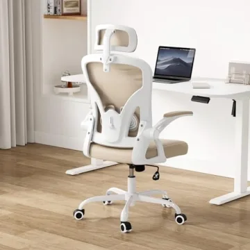 Farini Ergonomic Office Chair with Headrest for Comfort