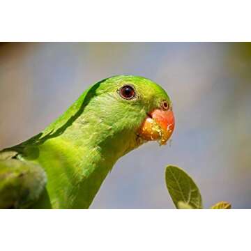 Tamron Auto Focus 70-300mm f/4.0-5.6 Di LD Macro Zoom Lens with Built In Motor for Nikon Digital SLR...