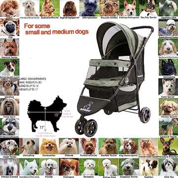 ROODO 3 Wheel Pet Stroller Best Lightweight Foldable Compact Portable Jogger All Terrain Travel Pet Gear Puppy Kitty Stroller for up to 30lbs Medium/Small Dogs and Cats(Cationic ash)