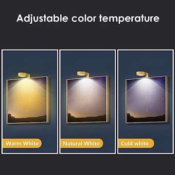 3-Pack Picture Light Battery Operated, Magnetic Led Lights with Remote, Dimmable and Timer Painting ...