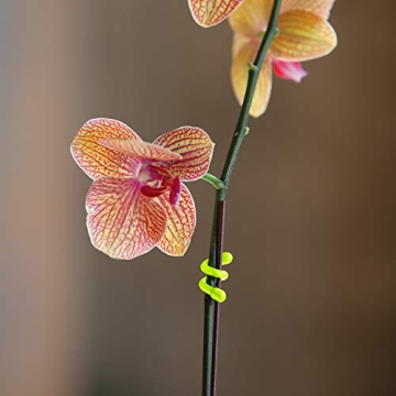 Nite Ize Original Gear Tie Reusable Rubber Twist Ties 3-Inch