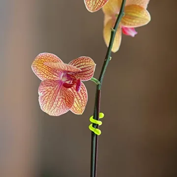 Nite Ize Original Gear Tie Reusable Rubber Twist Ties 3-Inch