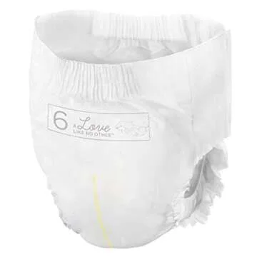 Bambo Nature Hypoallergenic Training Pants, Eco-Labeled Training Pants, Totally Chlorine-Free - Size 6 (19 Count)