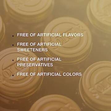 Solgar Brewer's Yeast Powder - Natural Vegan Supplement