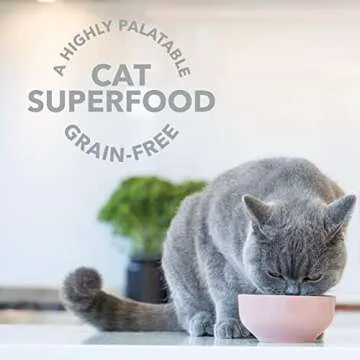 Feline Natural - Grain-Free Freeze-Dried Cat Food Supplement - Lamb Green Tripe, 2oz