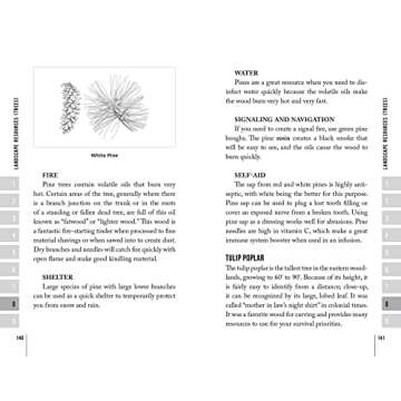 The Bushcraft Essentials Field Guide: The Basics You Need to Pack, Know, and Do to Survive in the Wild (Bushcraft Survival Skills Series)