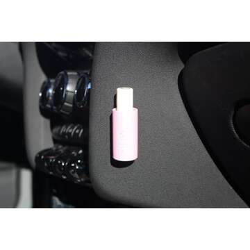 CarChap Lip Balm Holder - Mess-Free & USA Made Interior Accessory
