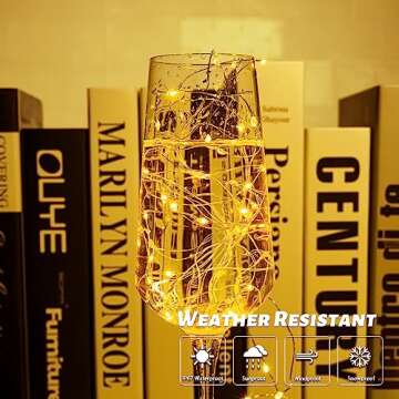 Fabulous Fairy Lights 16FT 50 LED Warm White String Lights