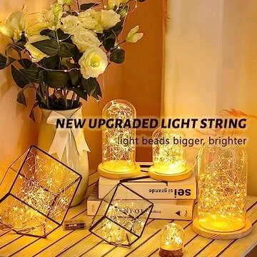 Fabulous Fairy Lights 16FT 50 LED Warm White String Lights