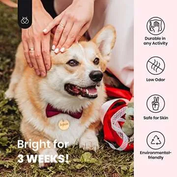 Beetles Gel Nail Polish Set - 6 Trendy Shades for Stunning Nails