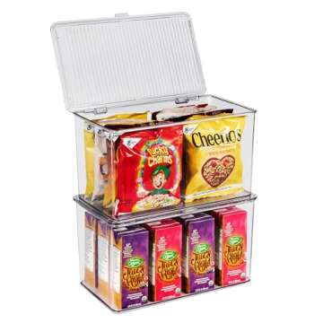 Sorbus Durable Plastic Storage Bins with Lids - Stackable Organizers for Home & Office - 2 Pack