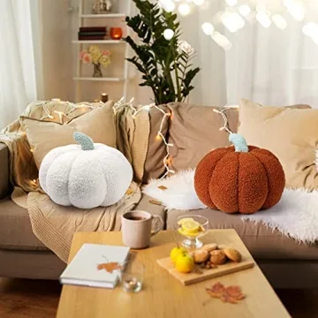Queekay 2 Pcs Pumpkin Pillow Set for Home Decoration