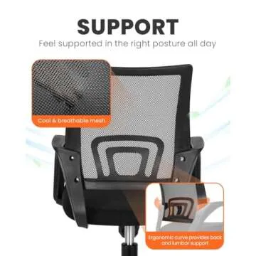 NEO CHAIR Sky Blue Ergonomic Office Chair for Comfort