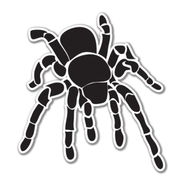 AK Wall Art Tarantula Black Vinyl Sticker - Select Size