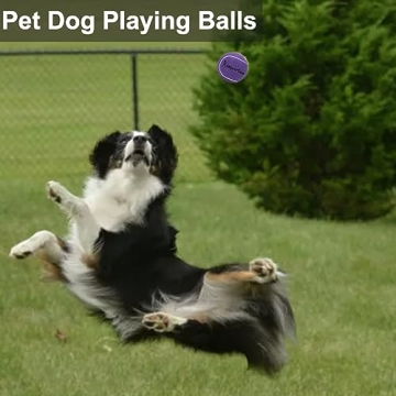 Kisportee Tennis Balls 18 Pack - Durable Training Balls in Purple