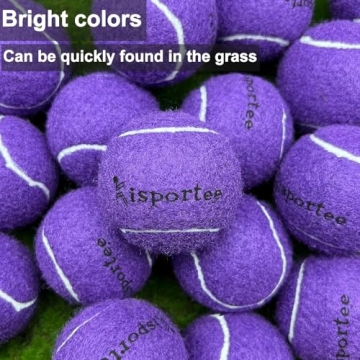 Kisportee Tennis Balls 18 Pack - Durable Training Balls in Purple