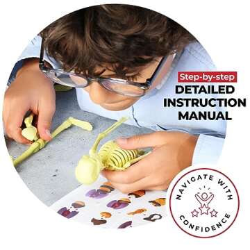 Rovox Human Anatomy for Kids Removable Skeleton Model and Torso Human Body for Kids STEM Toys Scienc...