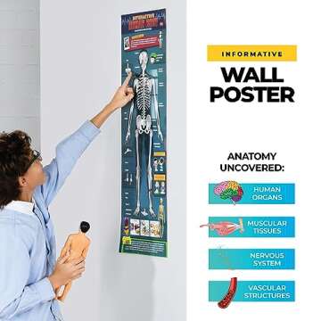 Rovox Human Anatomy for Kids Removable Skeleton Model and Torso Human Body for Kids STEM Toys Science Kit Full Body Anatomy Sets for Kids and Teens - 30 Piece Full Anatomy Toy Set - 11 Inches Tall