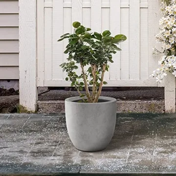 Kante Round Concrete Planter for Indoor & Outdoor Use