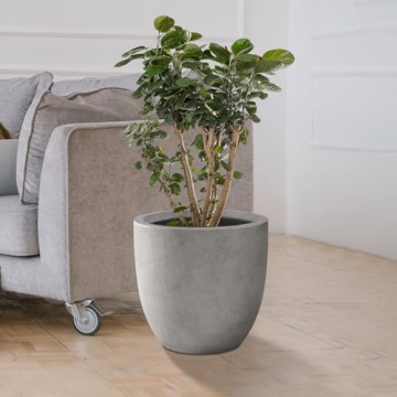 Kante Round Concrete Planter for Indoor & Outdoor Use